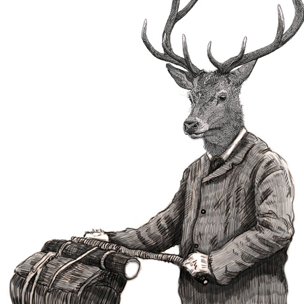 stanley the cycling stag illustration print by ben rothery illustrator ...