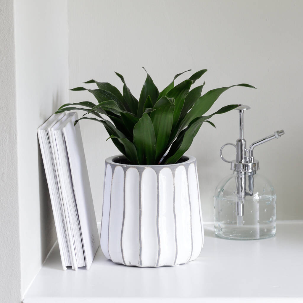 White Ribbed Plant Pot By Marquis & Dawe | notonthehighstreet.com