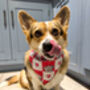 Pink Love Bug Bear Dog Bandana, thumbnail 7 of 8