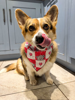 Pink Love Bug Bear Dog Bandana, 7 of 8