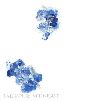 Pack 12 Midnight Larkspur Original Botanical Wedding Place Name Cards Double Sided, 2 of 6