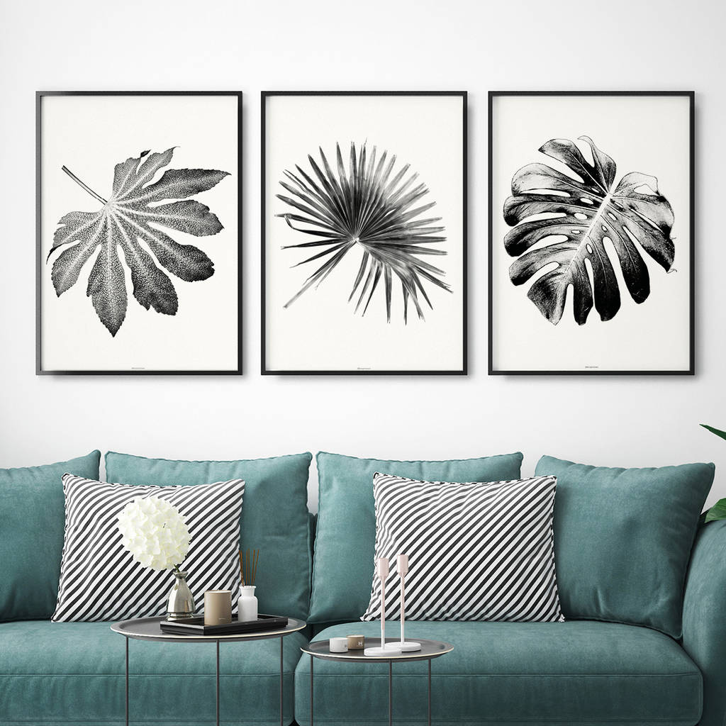 Black and white Leaves Feathers Botanicals Prints Set of three black