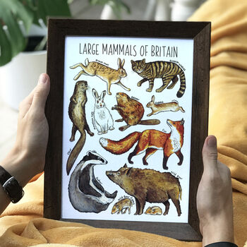 Woodland Animals Of Britain Wildlife Watercolour Print, 5 of 8