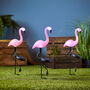 Three Flamingo Solar Stake Lights, thumbnail 2 of 4
