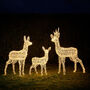 Swinsty Dual LED Plug In Reindeer Family, thumbnail 5 of 7