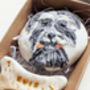 Personalised Hand Iced Pet Portraite Letterbox Biscuit Gift, thumbnail 6 of 11