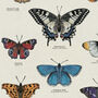 British Butterfly Art Poster, thumbnail 4 of 10