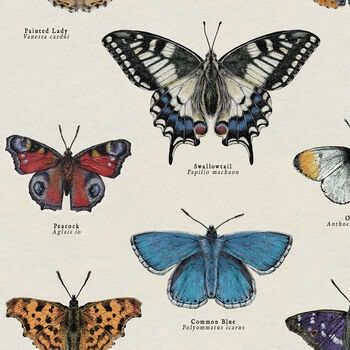 British Butterfly Art Poster, 4 of 10