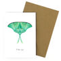 Luna Moth Butterfly A6 Greetings Cards, thumbnail 6 of 7