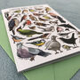 Garden Birds Of Britain Art Blank Greeting Card, thumbnail 6 of 11