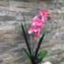 Pink Artificial Silk Orchid Mothers Day Gift, thumbnail 2 of 6