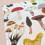 Mushrooms And Toadstools Tea Towel, thumbnail 2 of 5