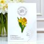 Daffodil Spring Flower Hard Enamel Pin Brooch, thumbnail 1 of 9