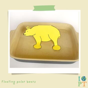 Children's Eco Activity Box: Prowling Polar Bears, 6 of 11