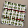 Festive Sprout Christmas Crackers, thumbnail 3 of 3