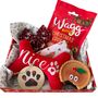 Christmas Dog Gift Box Nice Toy, thumbnail 1 of 3