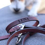 Personalised Brown Or Black Leather Dog Name Lead, thumbnail 5 of 12