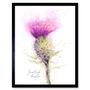 Scottish Thistle Flower Watercolour Scotland Art Print, thumbnail 1 of 3