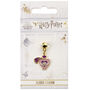 Harry Potter Love Potion Slider Charm Gold, thumbnail 2 of 2