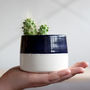 Personalised 'Baby' Hand Thrown Indoor Plant Pot, thumbnail 3 of 5