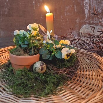 Easter And Spring Natural Tablescape In A Box, 9 of 12