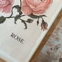 Rose Luxury Botanical Print, thumbnail 6 of 6