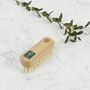 Sustainable Wood Small Nail Brush With Plant Bristles, thumbnail 7 of 8