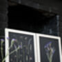 A3 Pressed Flower Art – Twilight Iris Botanical Frame In Sand, thumbnail 4 of 7