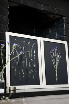 A3 Pressed Flower Art – Twilight Iris Botanical Frame In Sand, 4 of 7