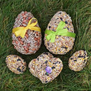 Bird Feeders | notonthehighstreet.com