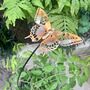 Large Copper Butterfly Garden Stake – Pure Copper Butterfly On Black Iron Pole – Outdoor Garden Art, thumbnail 1 of 6