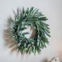 Dusky Green Eucalyptus Wreath, thumbnail 2 of 3