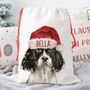 Black Springer Spaniel Dog Christmas Sack, thumbnail 1 of 2