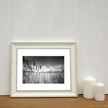 Water Reeds, Thorndon Woodland Photographic Art Print, 2 of 4