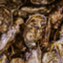 Paired Oysters Aboard The Grand Duchess For Two, thumbnail 5 of 12