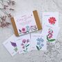 Cottage Garden Flower Seed Kit, thumbnail 1 of 9