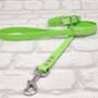 Waterproof Dog Collar And Lead Set Apple Green, thumbnail 1 of 3