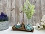 Molten Glass Mini Vase And Tealight Set On Teak Root Base, thumbnail 2 of 12
