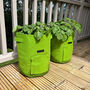 Set Of Five Reusable Potato And Vegetable Grow Bags, thumbnail 4 of 10