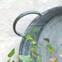 Round Zinc Tray Planter With Handles | 25cm, thumbnail 2 of 2
