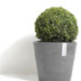 Ecopots Amsterdam Plant Pot Made From Recycled Plastic, thumbnail 6 of 7