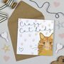 Crazy Cat Lady Card, Multiple Cat Designs, thumbnail 8 of 9