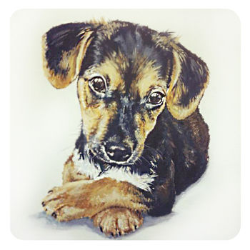 Personalised Painted Pet Portrait, 4 of 11