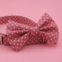Pink Polkadot Dog Bow Tie, thumbnail 1 of 9