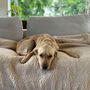 Sherpa Fleece Dog Blanket, thumbnail 3 of 10