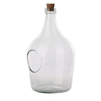 Five Litre Clear Open Terrarium Recycled Glass Planter, 4 of 5
