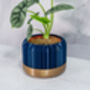 Midnight Trilinear Planter, thumbnail 2 of 4