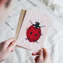 'Love Bug' Love Valentine's Day Card, thumbnail 1 of 2