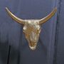 Gold Tone Buffalo Skull Drawer Knob, Handle, thumbnail 1 of 2