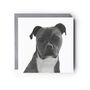 Staffy Cross Dog Greeting Card, thumbnail 1 of 5